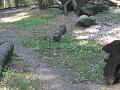 Zoo Cottbus 104